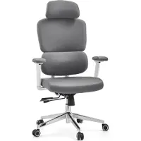 Hjh OFFICE Bureaustoel / draaistoel ERGOMY WF2 Stof grijs