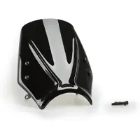 Puig New Generation Sport Triumph Trident 660 2025 Voorruit