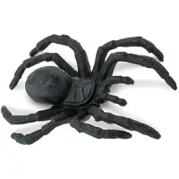 Safari Ltd Spiders Good Luck Minis Figure Zwart From 3 Years Kinderen