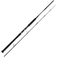 Shimano Fishing 25ocea Plugger Limited Spinning Rod Zilver 2.51 m / 130 g