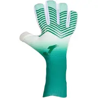 Joma Panther Goalkeeper Gloves Groen 10