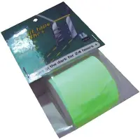 Trem Night Photoluminescent Adhesive Transparant