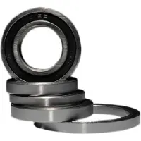 BLACK BEARING Ceramic Lagers