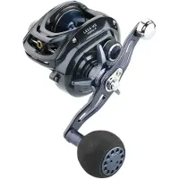 Daiwa Lexa Hd 2019 Baitcasting Reel Grijs Ratio: 7.1:1