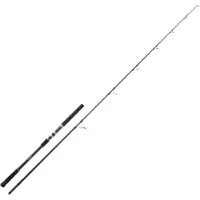 Sakura Ryokan Sw Rsws Tuna Spinning Rod Zilver 2.50 m / 21-100 g