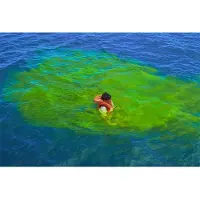 PLASTIMO Marker 80g Groen