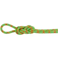 Mammut - 8.0 Alpine Core Protect Dry Rope - Halftouw 40 m, groen