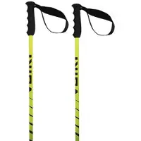 Völkl Speedstick Stokken