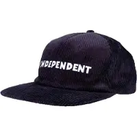 Independent Beacon Pet