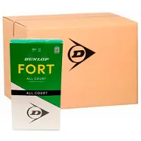 Dunlop Tennisbal Fort All Court TS Cartonette 2025 (2x 4-Pet)
