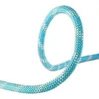 Edelrid Interstatic Protect 11 Mm Touw