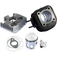 Polini 166.0076/12r Racing Ø47mm Yamaha/minarelli Cilinderkit
