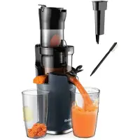 Biolomix Seastone - - Sapcentrifuges Groente En Fruit - Groenten en Fruit Zonder Snijden - BPA Vrij - Makkelijk Schoonmaken - Heerlijke Sap - Zwart