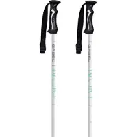 Gabel Ivory Stokken