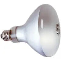 Kaiser Reflector 500w Gloeilamp