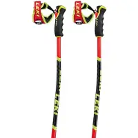 LEKI Wcr Tbs Gs 3d Stokken