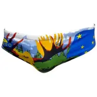 Turbo Alaska Swimming Brief Veelkleurig 9-10 Years Jongen
