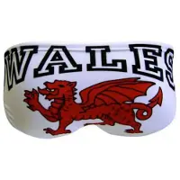 Turbo Wales Dragon Swimming Brief Wit 12-24 Months Jongen