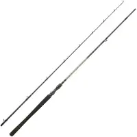 Daiwa Exceler Baitcasting Rod 2 Sections Zilver 2.29 m / 60-120 g