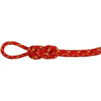 Mammut - 8.0 Alpine Core Protect Dry Rope - Halftouw 30 m, rood/wit