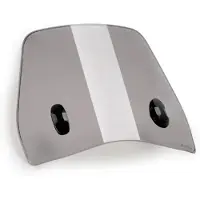 Puig Trafic Sym Symphony 125 Cbs E5 2025 Voorruit