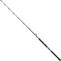 Xzoga Lebank Trolling Rod Zilver 1.96 m / 50-80 Lbs