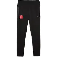Puma Girona Fc Teamcup Pants Zwart M Man