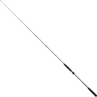 Sakura Ryokan Sw Jigging Rod Zilver 1.95 m / 100-300 g
