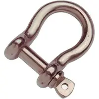 Goldenship Lira Aisi316 Shackle 25 Units Zilver 10 mm