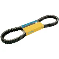 DAYCO Piaggio Beverly 250cc 841851 Transmissie Riem