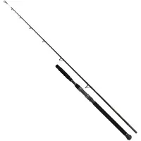 Shimano Fishing Beastmaster Ax Static Catfish Rod Zilver 3.00 m / 400 g