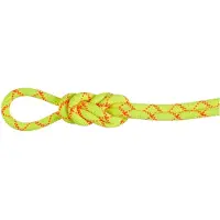 Mammut - 9.5 Alpine Core Protect Dry Rope - Enkeltouw 30 m, geel