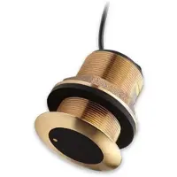Raymarine Cpt-s Bronze Chirp Thru-hull 0º Goud