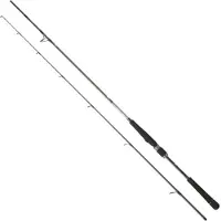 Daiwa Saltist Seabass Spinning Rod Zilver 2.74 m / 7-35 g