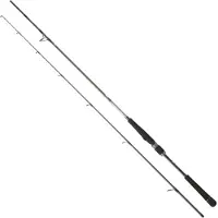 Daiwa Saltist Seabass Spinning Rod Zilver 2.74 m / 14-42 g