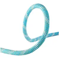 Edelrid Interstatic Protect 11 Mm Touw