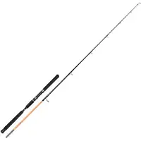 Hart Nation Popping Rod Zilver 2.36 m / 90-250 g