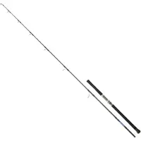 Daiwa Saltiga Tuna Bottom Shipping Rod Zilver 2.52 m / 50-100 g