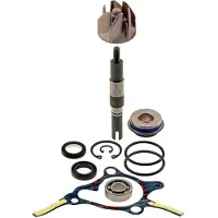 RMS Beauty Honda Foresight 250cc 1998 100110310 Reparatieset Voor Waterpomp
