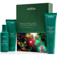 Aveda Botanical Repair Bonds Of Brilliance Holiday Set