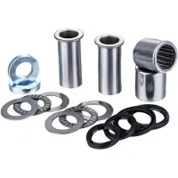 FACTORY LINKS Suzuki Rm 125 01-03/rm 250 01-03 Sak-s-250 Set Achterbruglagers