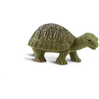 Safari Ltd Tortoises Good Luck Minis Figure Groen From 3 Years Kinderen