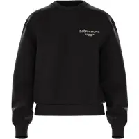 Björn Borg Trui Bjrn Borg Women Borg Essential 1 Sweatshirt Black Beauty-S