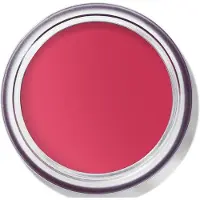 Bobbi Brown Wangen Pot Rouge Velvet Matte 8.5 g