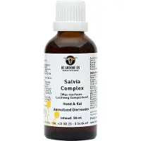 Groene Os Salvia complex hond/kat