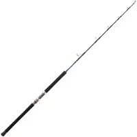 Daiwa Saltiga Deep Ex Jigging Rod Zilver 1.83 m / 200-600 g