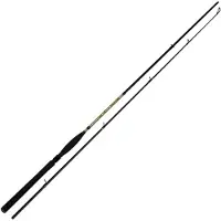 Maximus Rods Butcher X Jigging Rod Zilver 2.70 m / 17-45 g