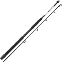 Sunset Nassau Sw Trolling Rod Zilver 1.65 m / 40 Lbs