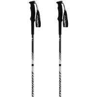 Dynafit Alpine Pro Stokken