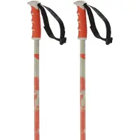Salomon Steep Stokken